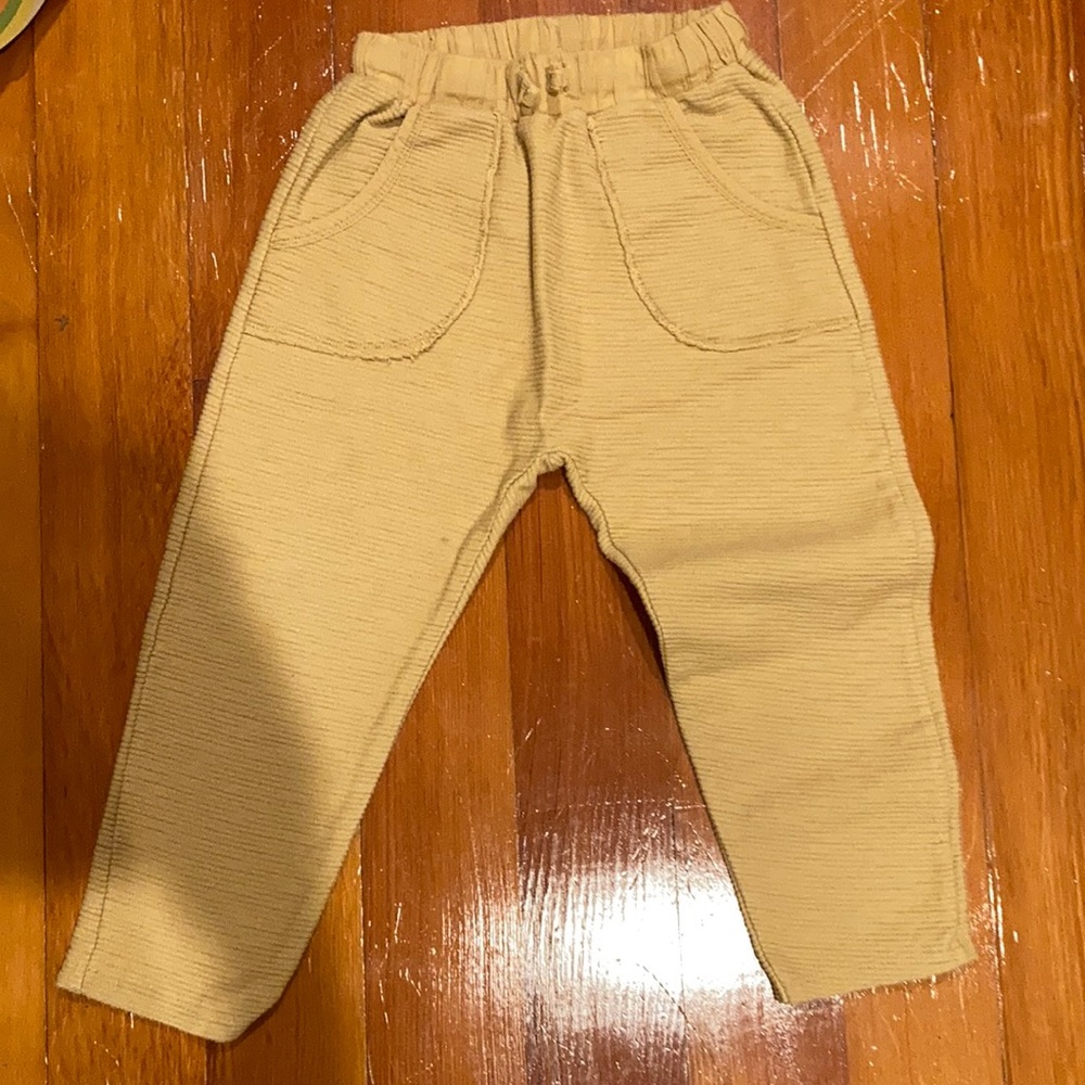 Zara Jogger Pants